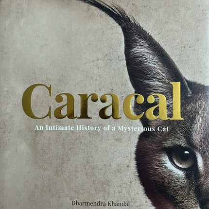 Caracal - An Intimate History of a Mysterious Cat