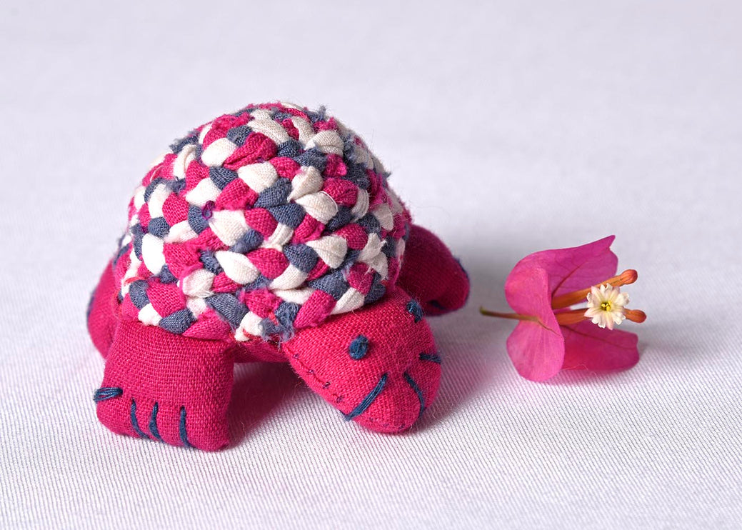 Tortoise