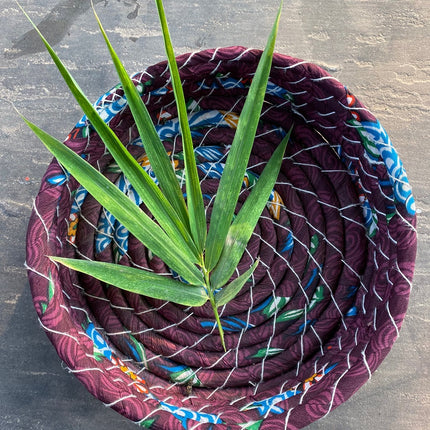 Round Basket